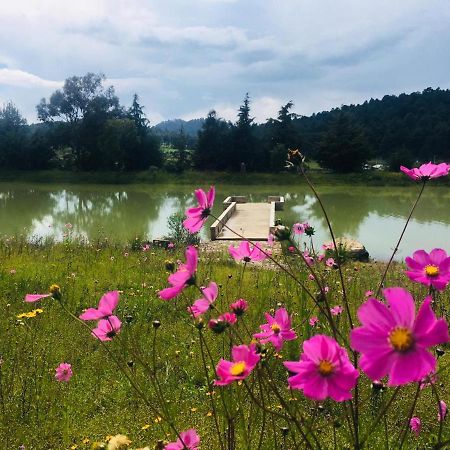 Cabanas Tapalpa Sierra Del Tecuan, Cabana Lince Dış mekan fotoğraf