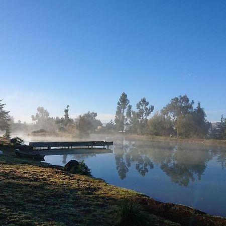 Cabanas Tapalpa Sierra Del Tecuan, Cabana Lince Dış mekan fotoğraf