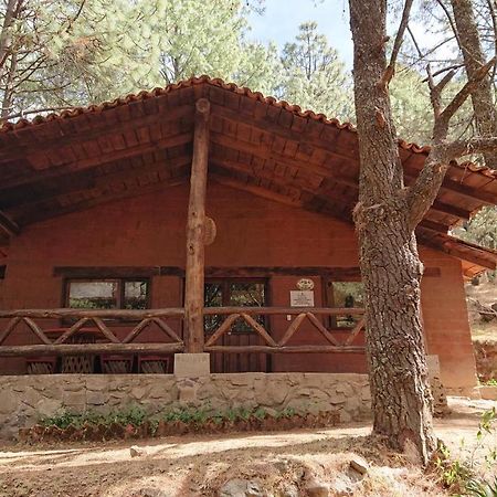 Cabanas Tapalpa Sierra Del Tecuan, Cabana Lince Dış mekan fotoğraf