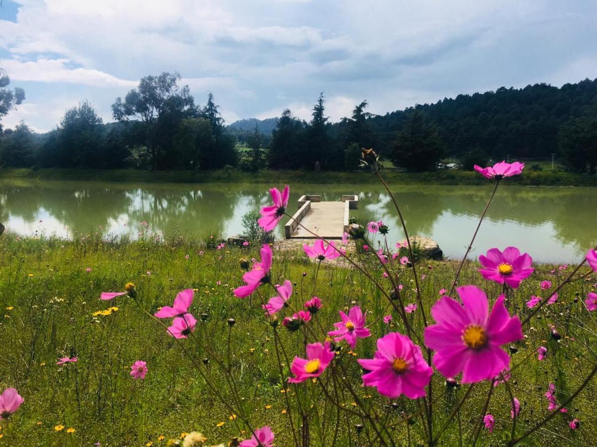 Cabanas Tapalpa Sierra Del Tecuan, Cabana Lince Dış mekan fotoğraf