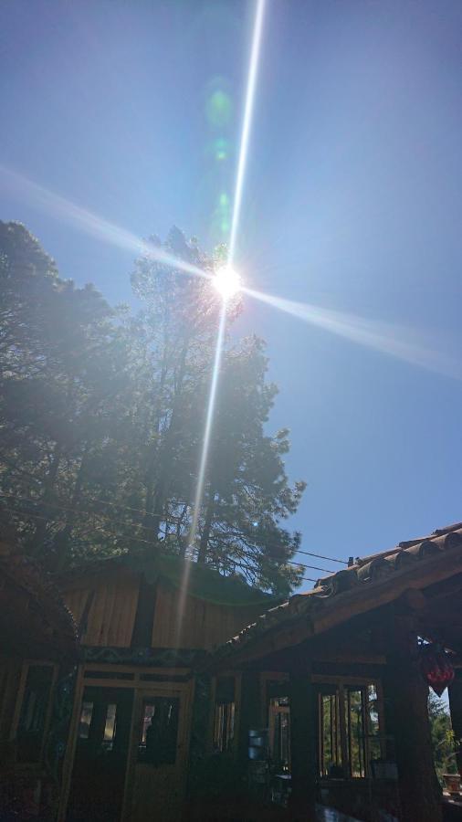 Cabanas Tapalpa Sierra Del Tecuan, Cabana Lince Dış mekan fotoğraf