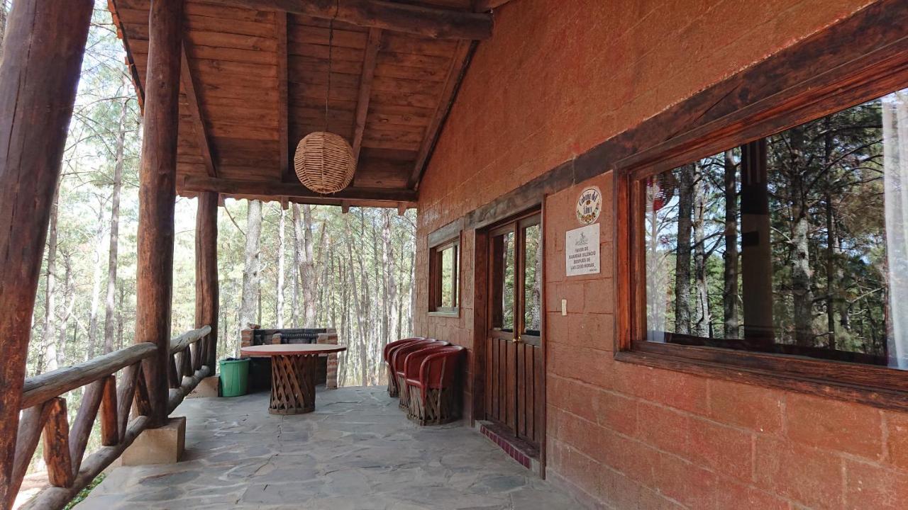 Cabanas Tapalpa Sierra Del Tecuan, Cabana Lince Dış mekan fotoğraf