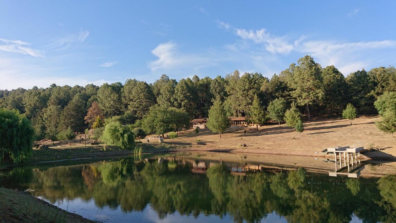 Cabanas Tapalpa Sierra Del Tecuan, Cabana Lince Dış mekan fotoğraf