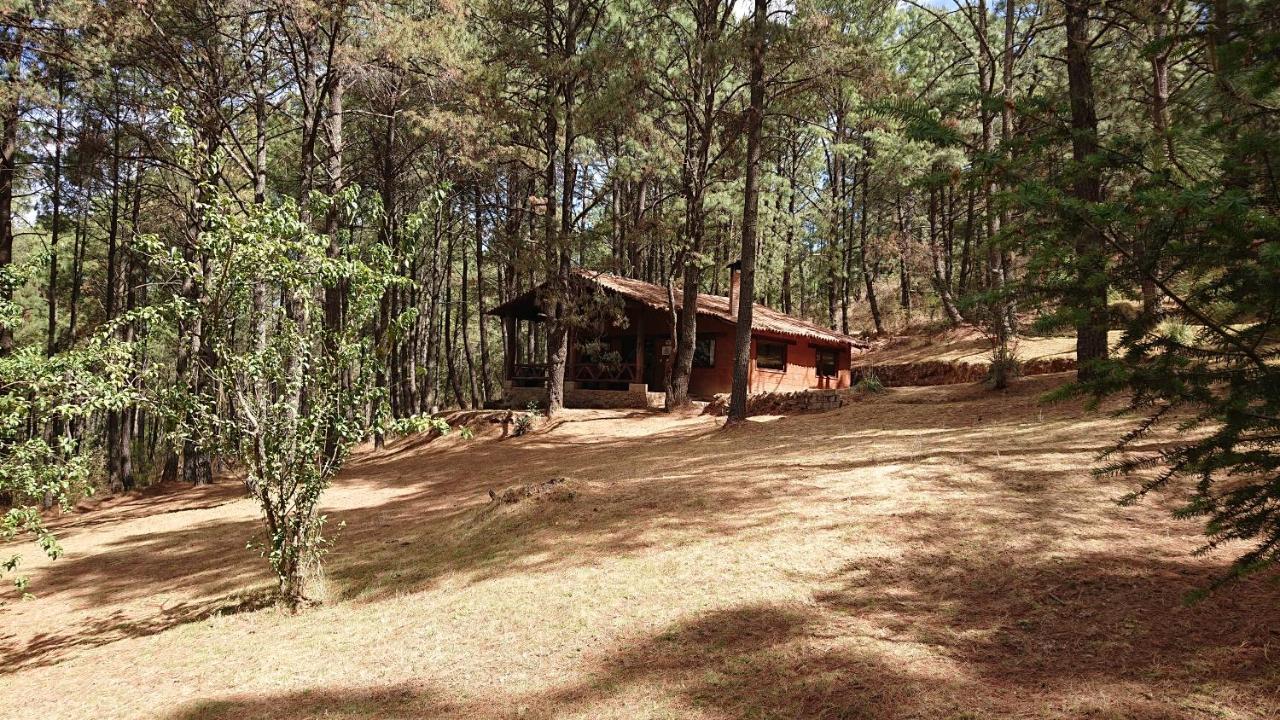 Cabanas Tapalpa Sierra Del Tecuan, Cabana Lince Dış mekan fotoğraf