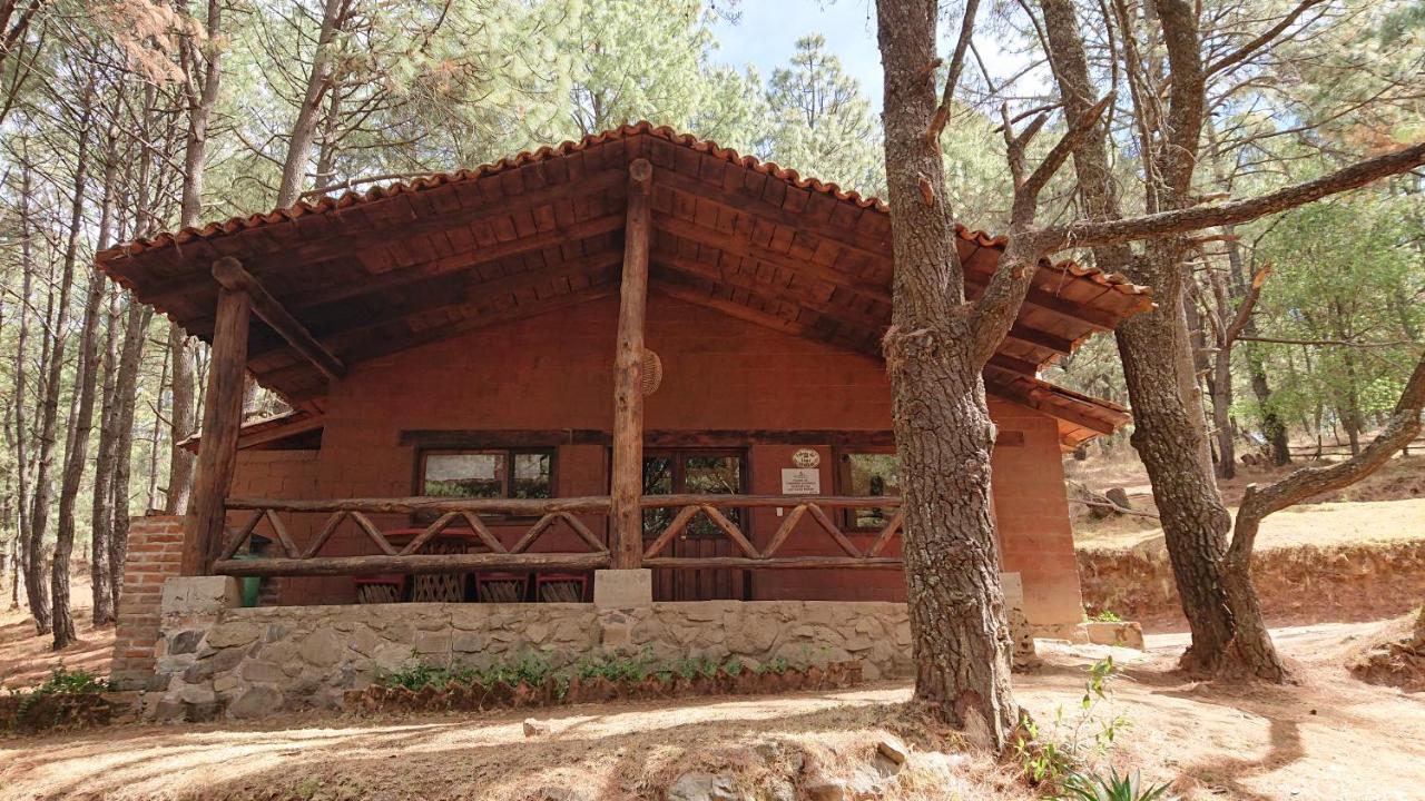 Cabanas Tapalpa Sierra Del Tecuan, Cabana Lince Dış mekan fotoğraf