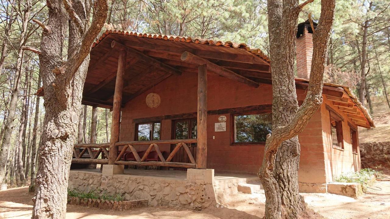 Cabanas Tapalpa Sierra Del Tecuan, Cabana Lince Dış mekan fotoğraf